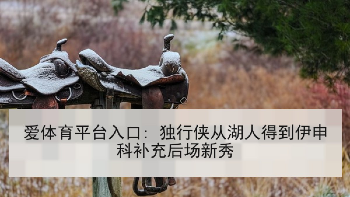爱体育平台入口: 独行侠从湖人得到伊申科补充后场新秀